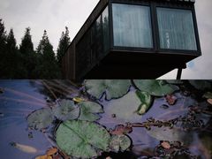 -黄海国家森林公园