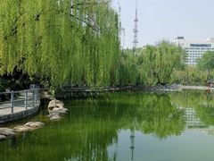 -莲湖公园