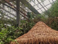 -呀路古热带植物园