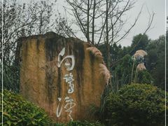 -白鹭湾湿地公园