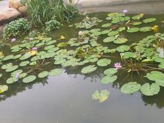 -陈李济中药博物馆