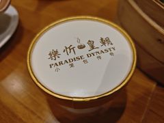 自制奶皮子酸奶-乐忻皇朝(上海中心大厦店)