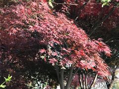 -相门城墙文化休闲景区