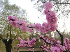 -元大都城垣遗址公园
