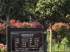 -武汉紫薇都市田园