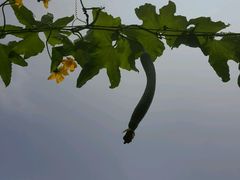 -扬州东关街文昌阁桔子水晶酒店