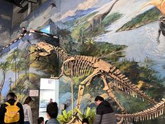 -自贡恐龙博物馆