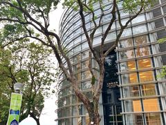 -大埔公路-马料水段香港中文大学(公交站)