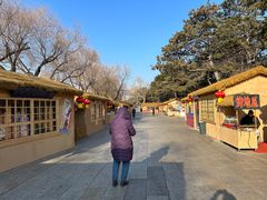 -长春市南湖公园