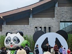-都江堰中华大熊猫苑