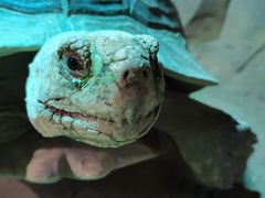 -太奥幻太奇海洋馆