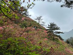 -木兰云雾山