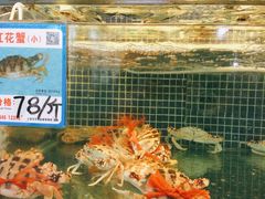 -庆余生平价生猛海鲜(海棠湾林旺夜市店)