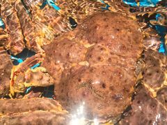 -忆江南·临江鱼馆