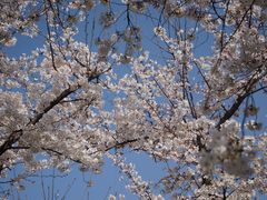 -龙美术馆(西岸馆)