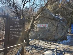 -阳台山自然风景区