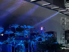 -三亚红色娘子军演艺公园景区