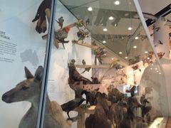 -墨尔本博物馆(Melbourne Museum)