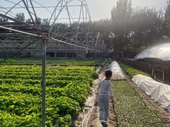 -圣露庄园·亲子活动乐园·露营·团建婚礼