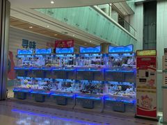 -金光华广场