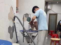 -瑞鹏宠物医院·骨科·猫科·内科(第一中心)