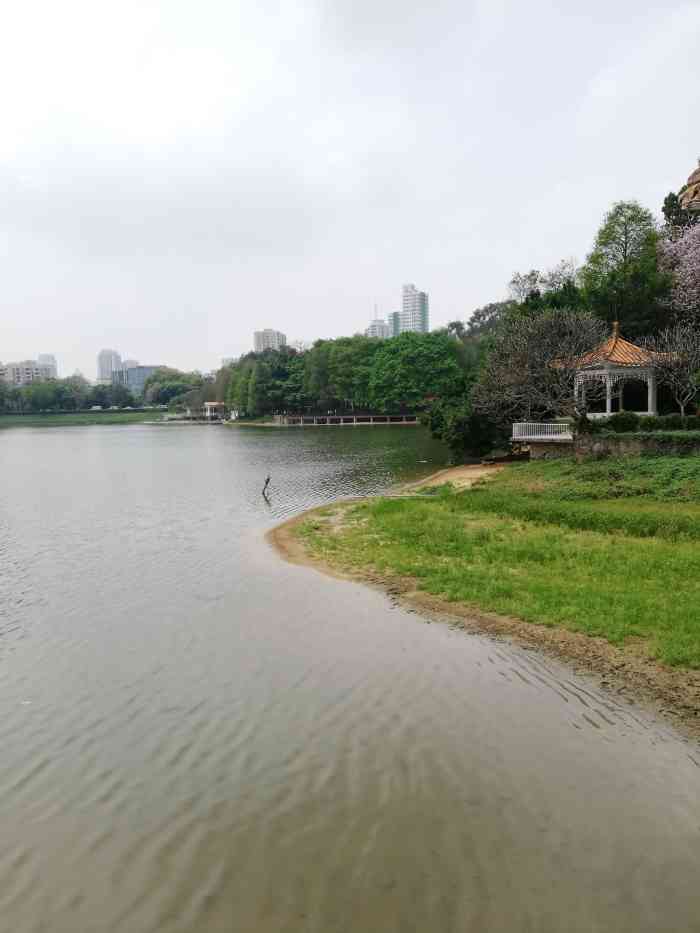 麓湖公園-