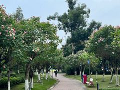 -天府芙蓉园