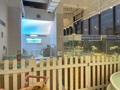 -怪兽屋·羊驼·猫咖·狗咖(俊华广场店)