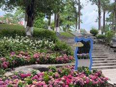 -广西壮族自治区药用植物园