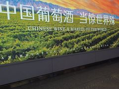 -银川河东国际机场