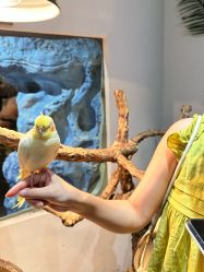 -Zoolung Zoolung动物主题公园(海信广场店)