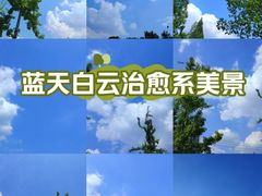 -国际非物质文化遗产博览园