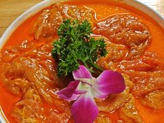 -蜀九香火锅(彩虹店)