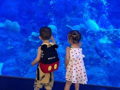 -成都浩海立方海洋公园