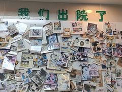 -半岛宠物医院24小时·内窥镜·牙科·碎石中心(府城大道店)