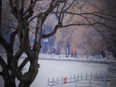 -北陵公园