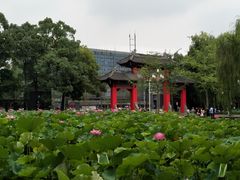 -四川大学(望江校区)