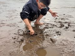 -万尾金滩