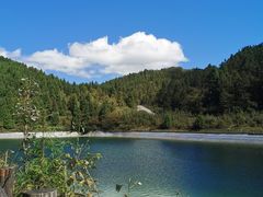 -武陵山森林公园