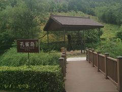 -金钉子远古世界景区