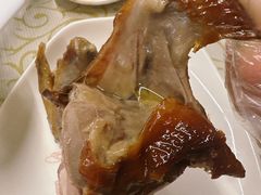-百利鸽王(紫薇路店)