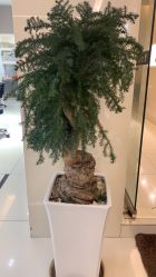 -锦尚名仕Hair Salon