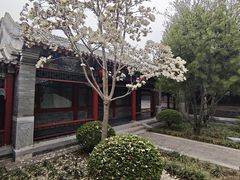 -有喜胶东小馆(太申祥和店)