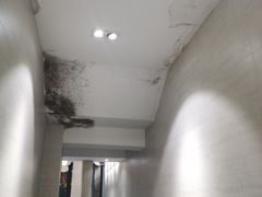 -囿面传统制面馆(中央路店)