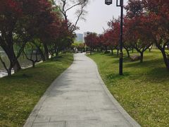 -杭州半山国家森林公园