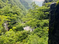 -娄山关景区