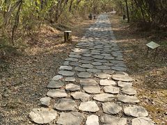 -盘龙城国家考古遗址公园