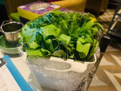 -润园四季椰子鸡火锅(海上世界店)