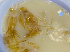 -凤城礼记鱼翅海鲜酒家(新马路总店)