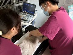 -艾贝尔宠物医院·宠保定点·超声绝育·免疫点(樱花路店)